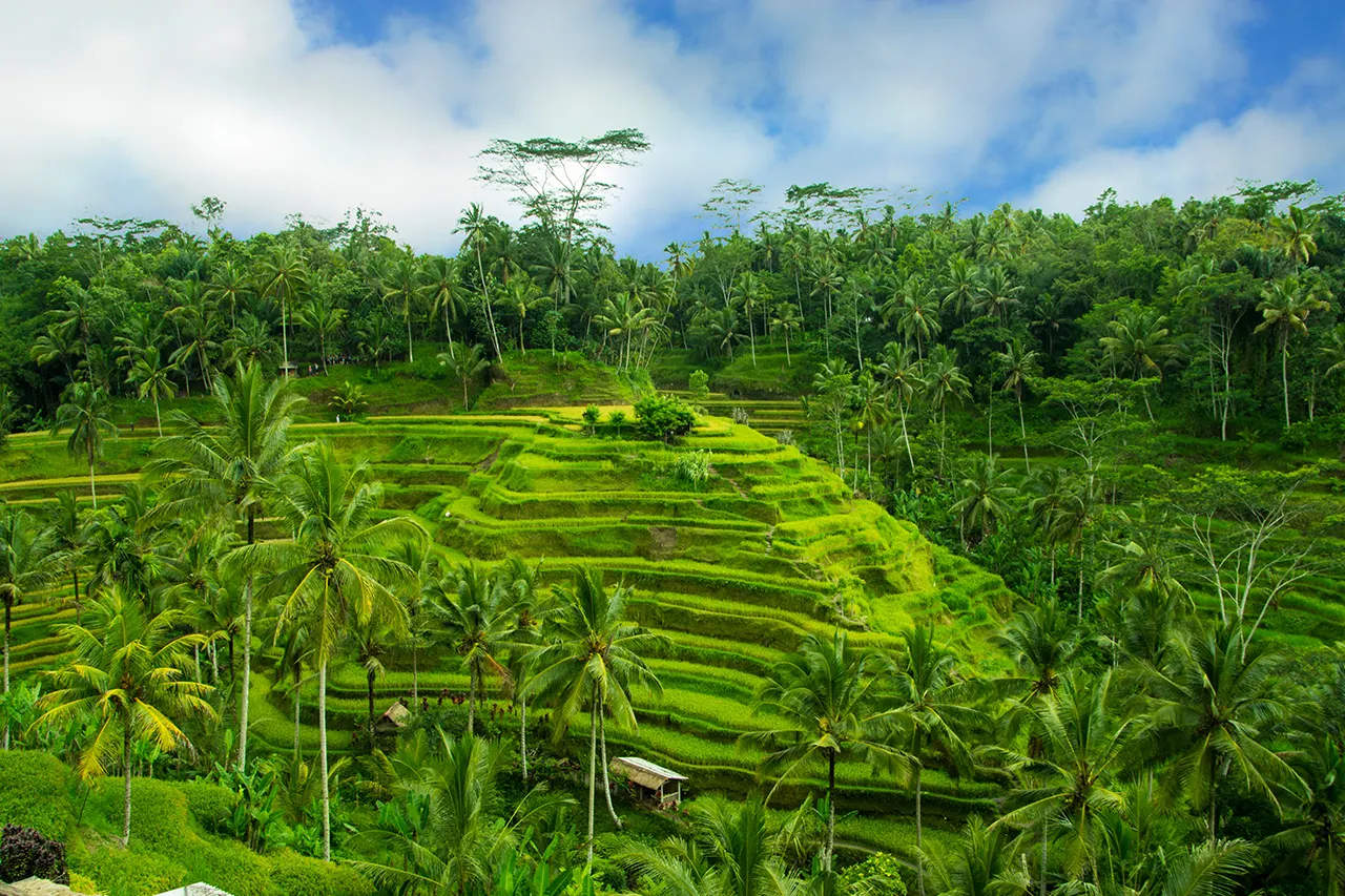 Ontdek waar SUNtip’s reisspecialisten deze zomer naartoe gaan