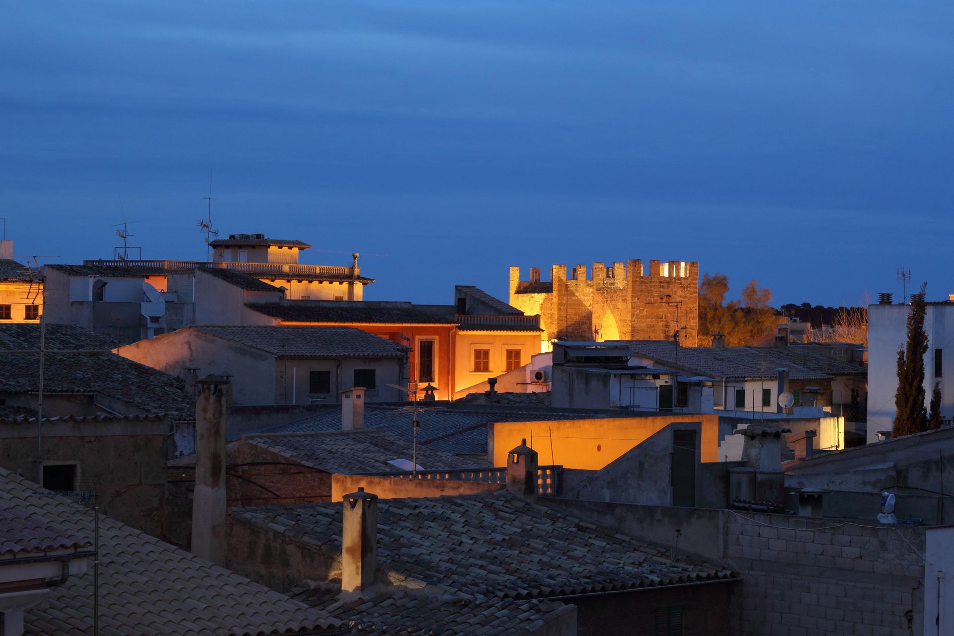 Alcudia Petit — 2