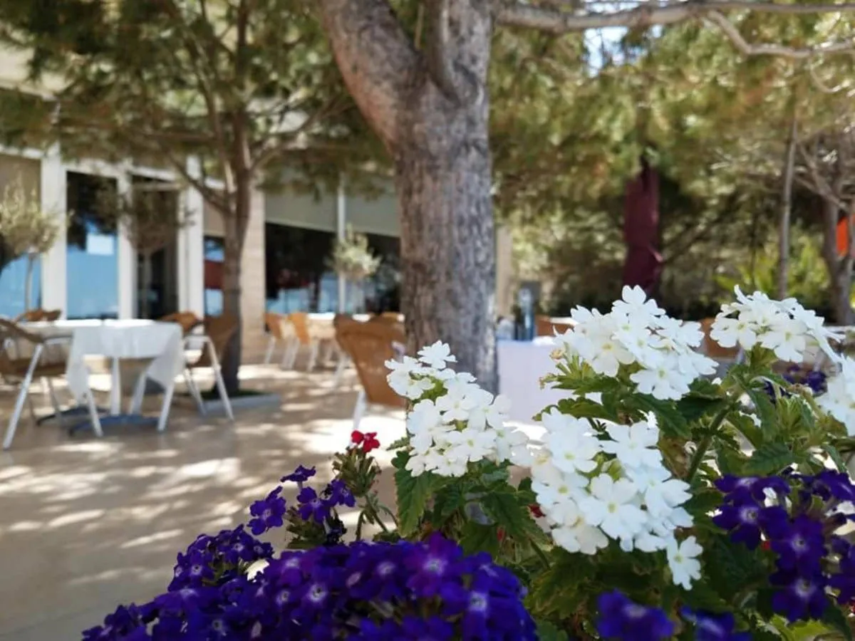 Terras
