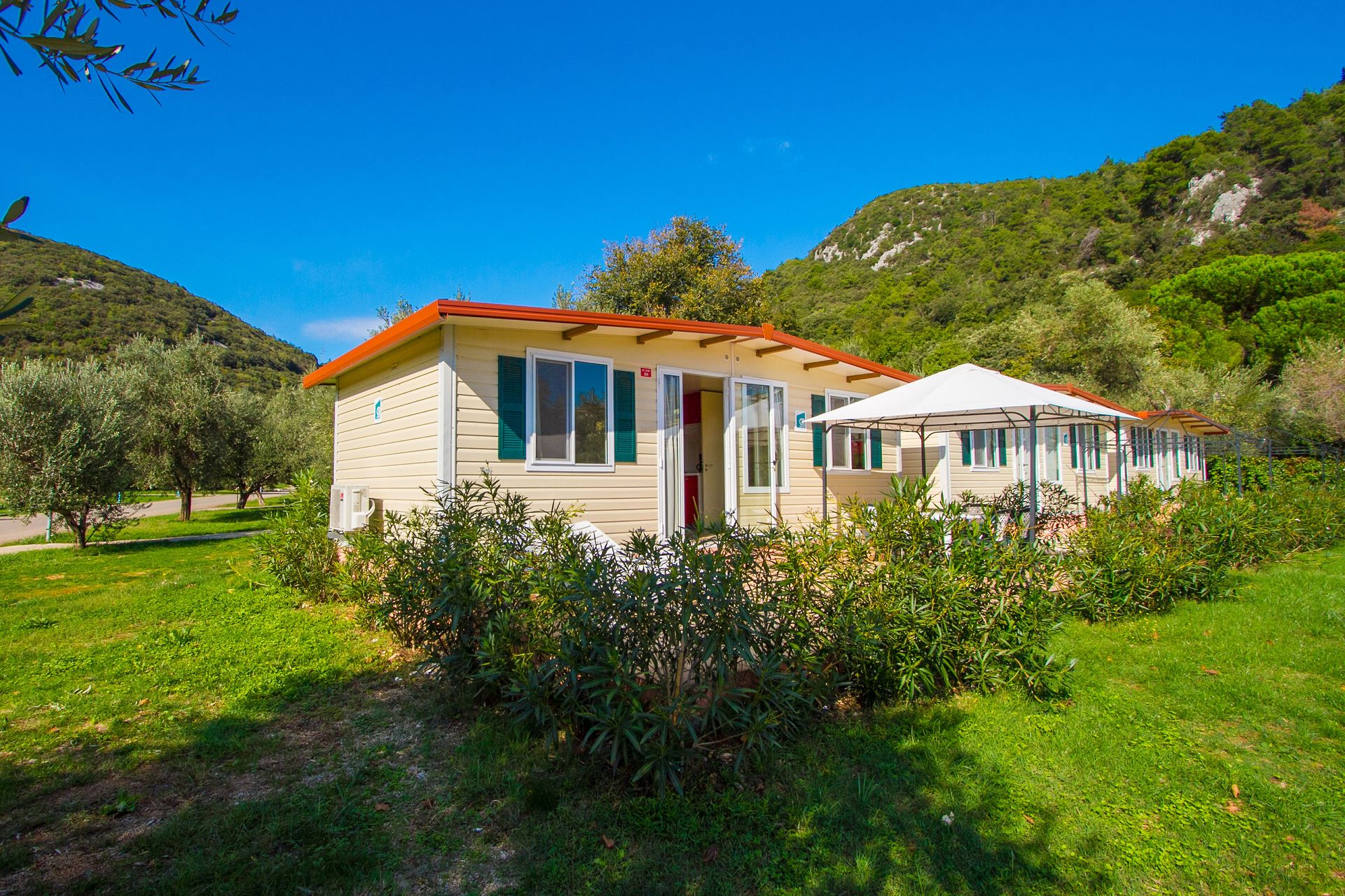 Oliva Camping — 2