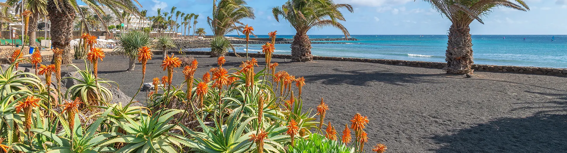 Vakantie Costa Teguise