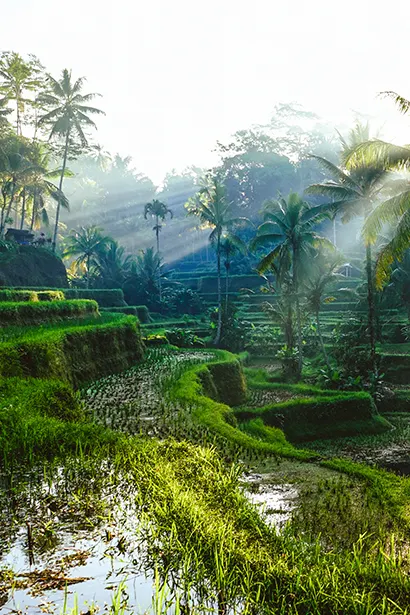 Ubud
