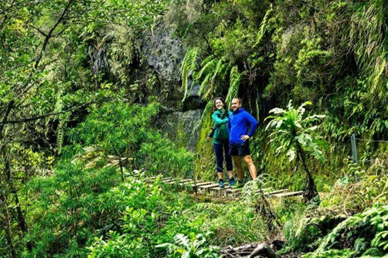 Vakantie Madeira in december