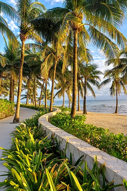 Voorjaarsvakantie Midden/Zuid