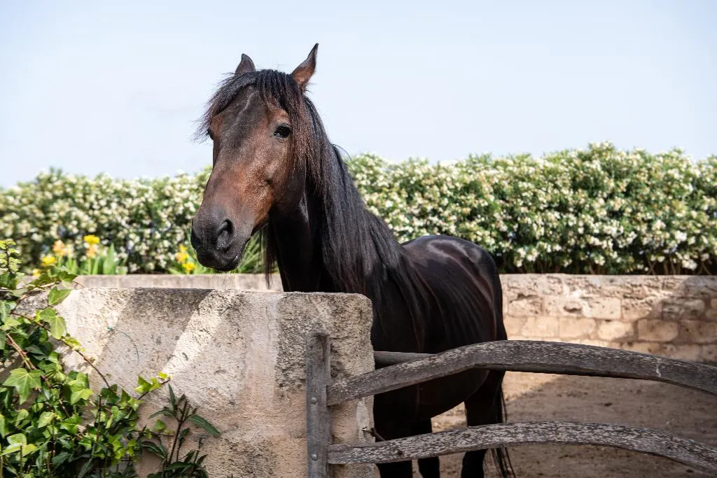 Agroturismo Son Juaneda, Ciutadella de Menorca