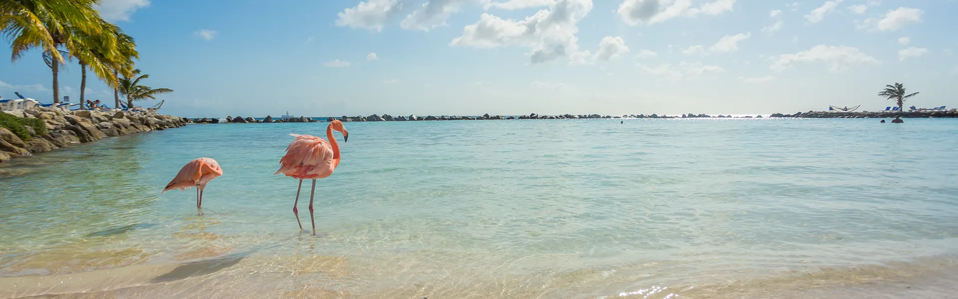 Vakantie Aruba SUNtip