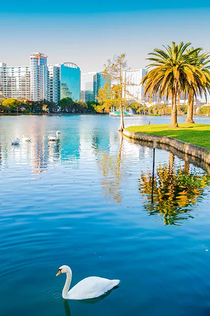 Orlando
