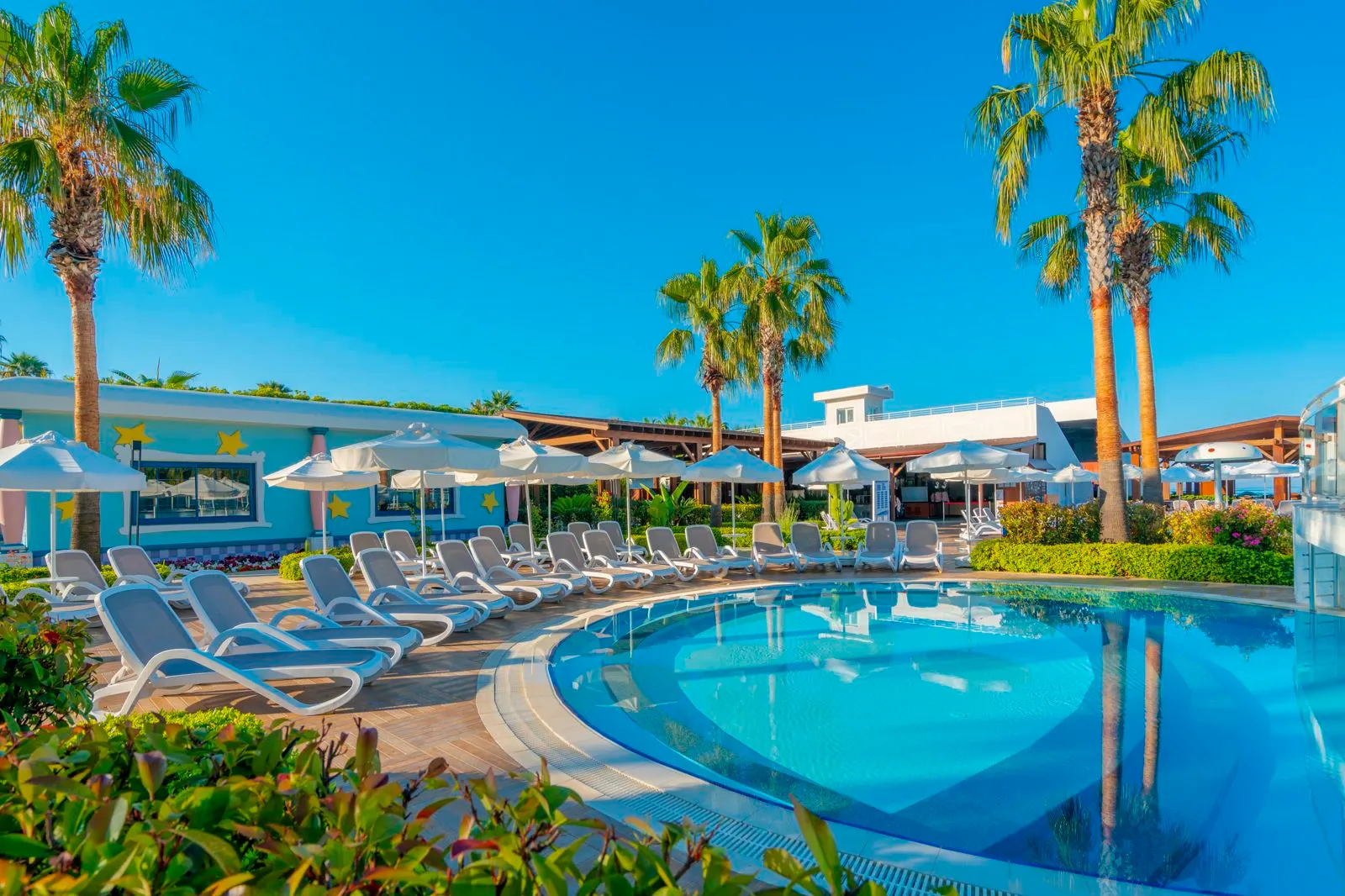 Sidera Kirman Premium