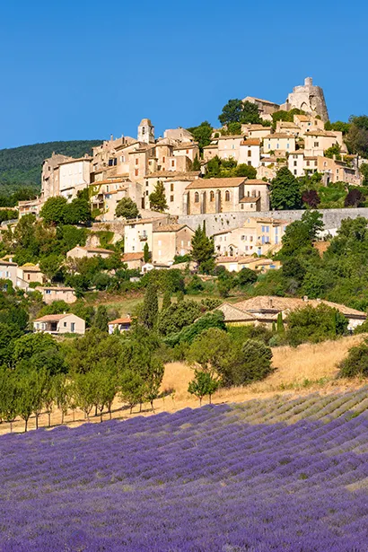 Button Provence