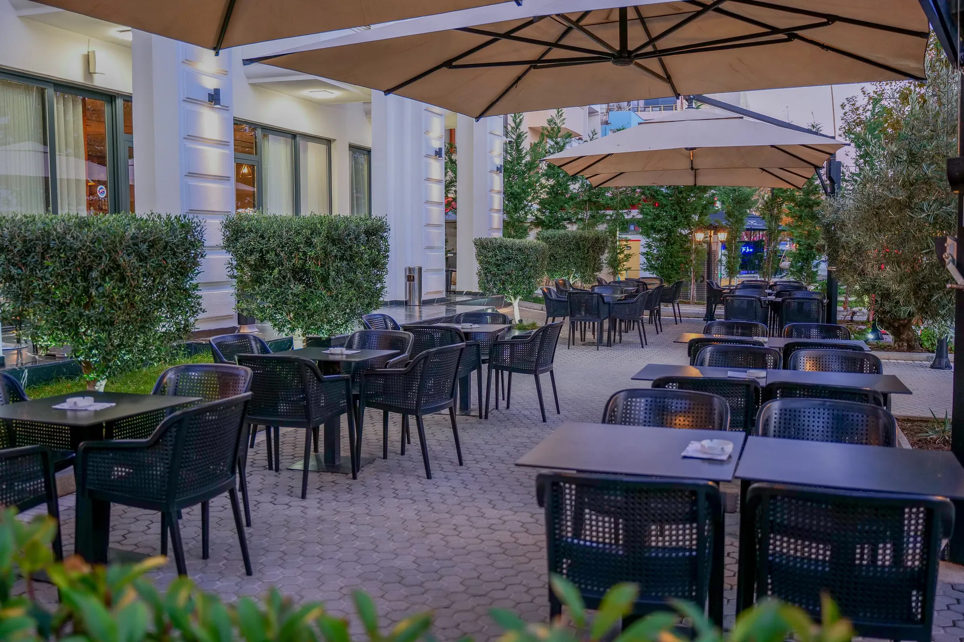 Terras