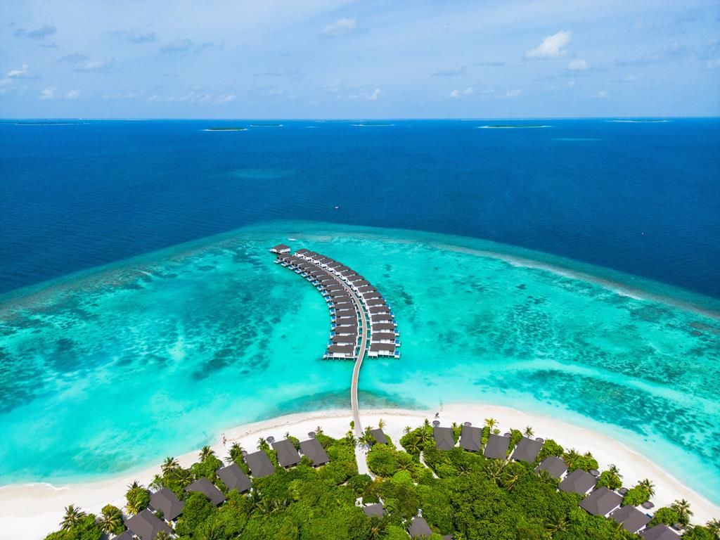 Robinson Noonu — 2