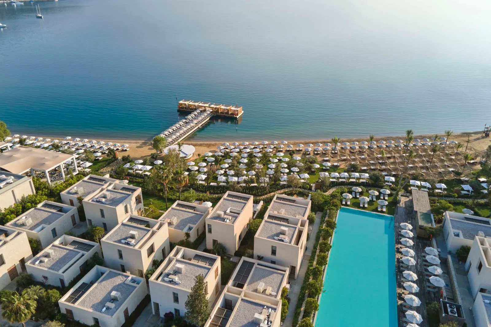 Voyage Torba, Torba