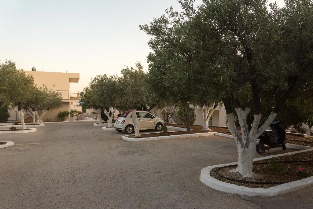 Amaryllis Beach Front Hotel
