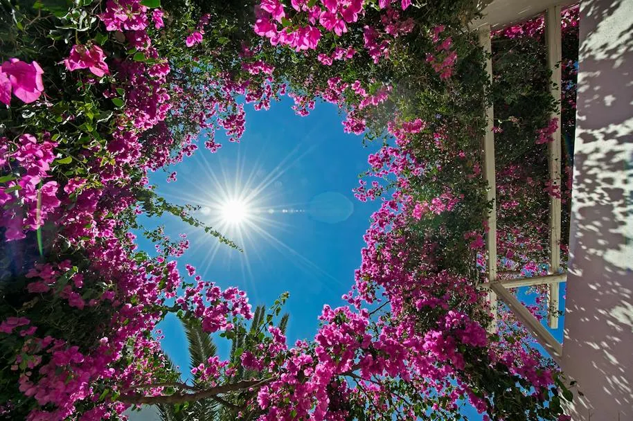 Atlantis Beach Villa, Perivolos