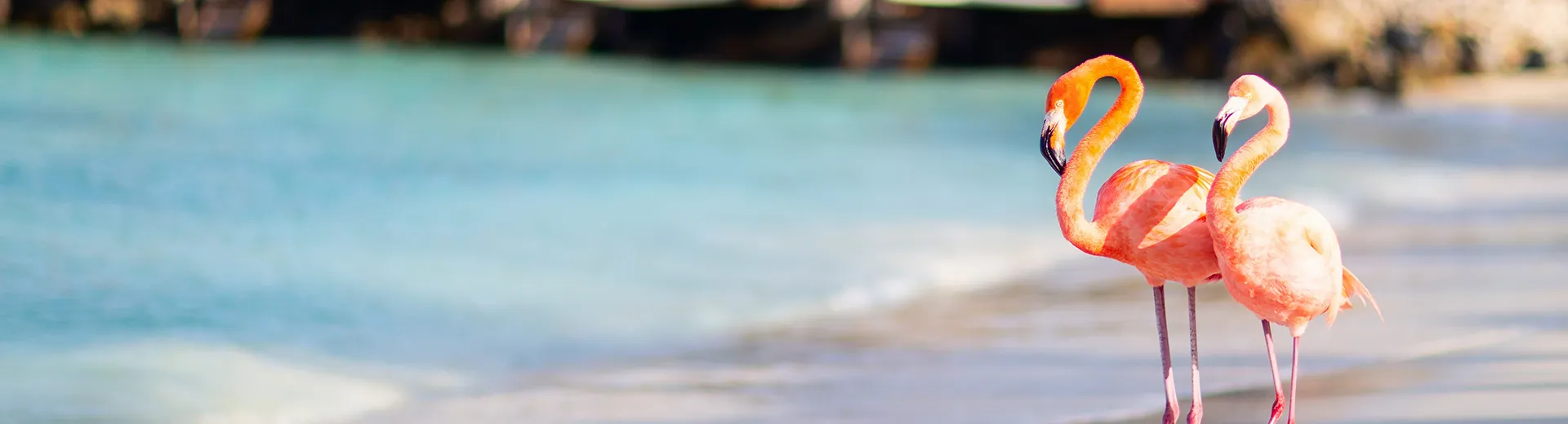 Vakantie oktober 2025