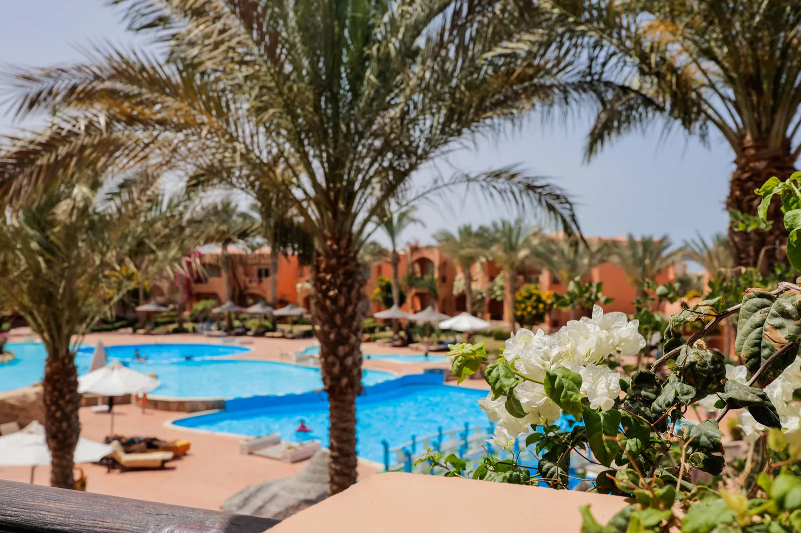 Dream Lagoon & Aqua Park Resort, Marsa Alam